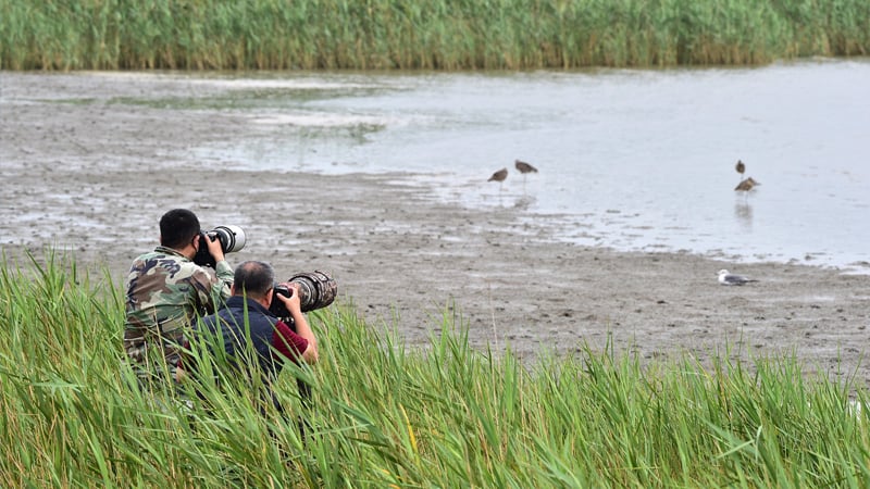 Understanding the natural environment and the animals you are filming is vital.