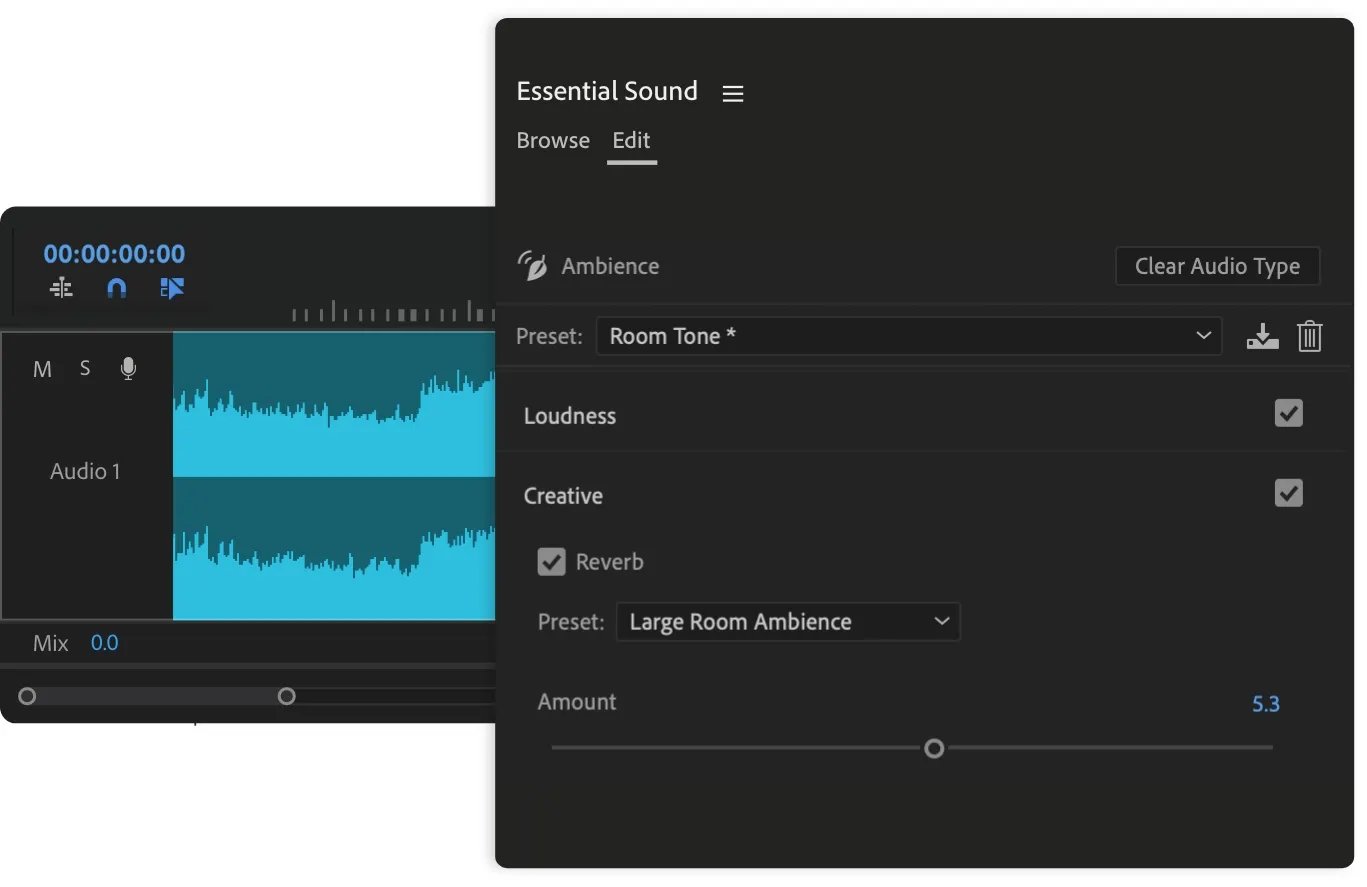 audio panel